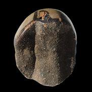 Septarian Dragon Stone egg 330g Rocks and Things