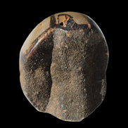 Septarian Dragon Stone egg 330g Rocks and Things