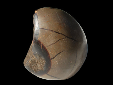Septarian Dragon Stone egg 330g Rocks and Things