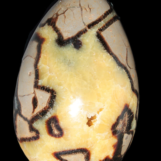 Septarian Dragon Stone geode 195*125*110mm 4080g Rocks and Things Store