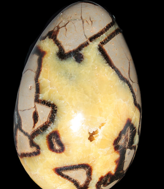 Septarian Dragon Stone geode 195*125*110mm 4080g Rocks and Things Store