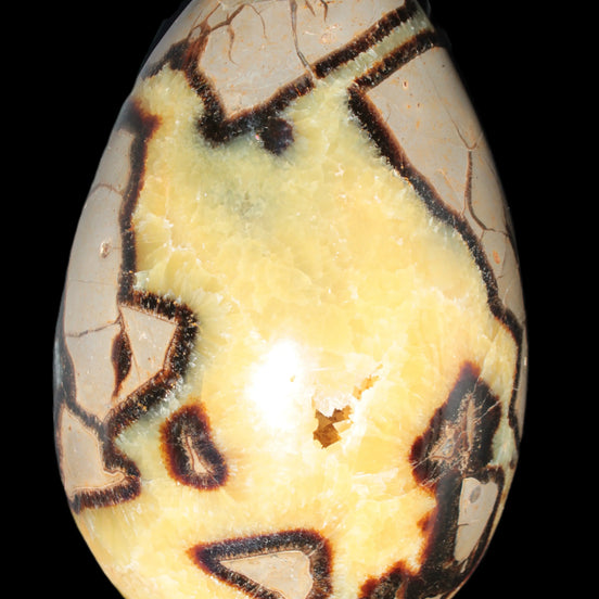 Septarian Dragon Stone geode 195*125*110mm 4080g Rocks and Things Store