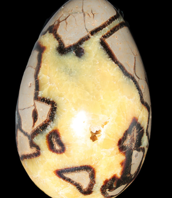 Septarian Dragon Stone geode 195*125*110mm 4080g Rocks and Things Store