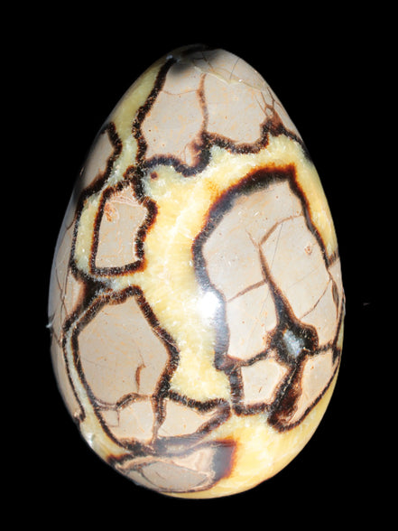 Septarian Dragon Stone geode 195*125*110mm 4080g Rocks and Things Store