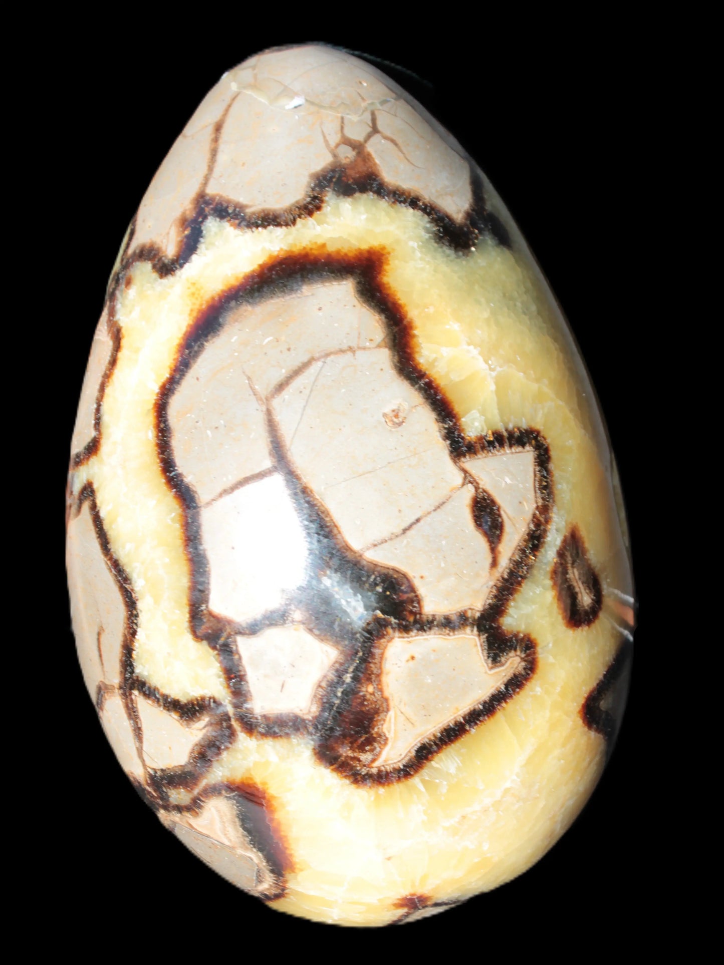 Septarian Dragon Stone geode 195*125*110mm 4080g Rocks and Things Store