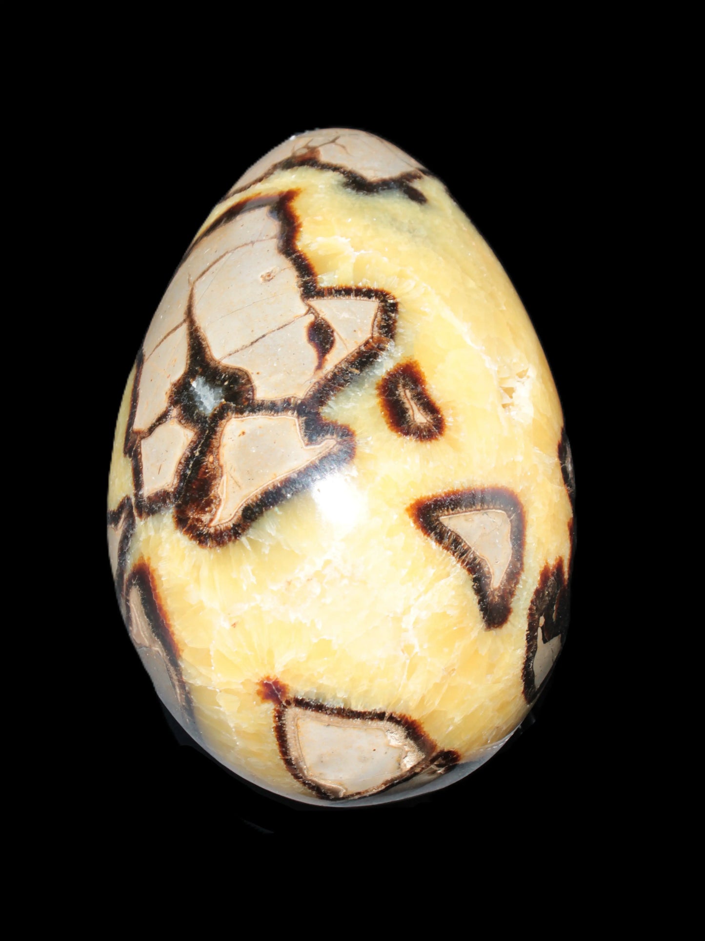 Septarian Dragon Stone geode 195*125*110mm 4080g Rocks and Things Store