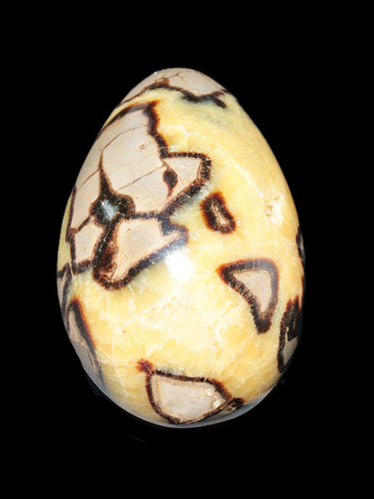 Septarian Dragon Stone geode 195*125*110mm 4080g Rocks and Things Store