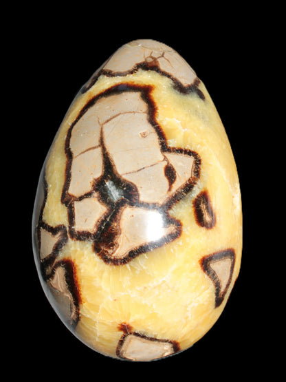 Septarian Dragon Stone geode 195*125*110mm 4080g Rocks and Things Store