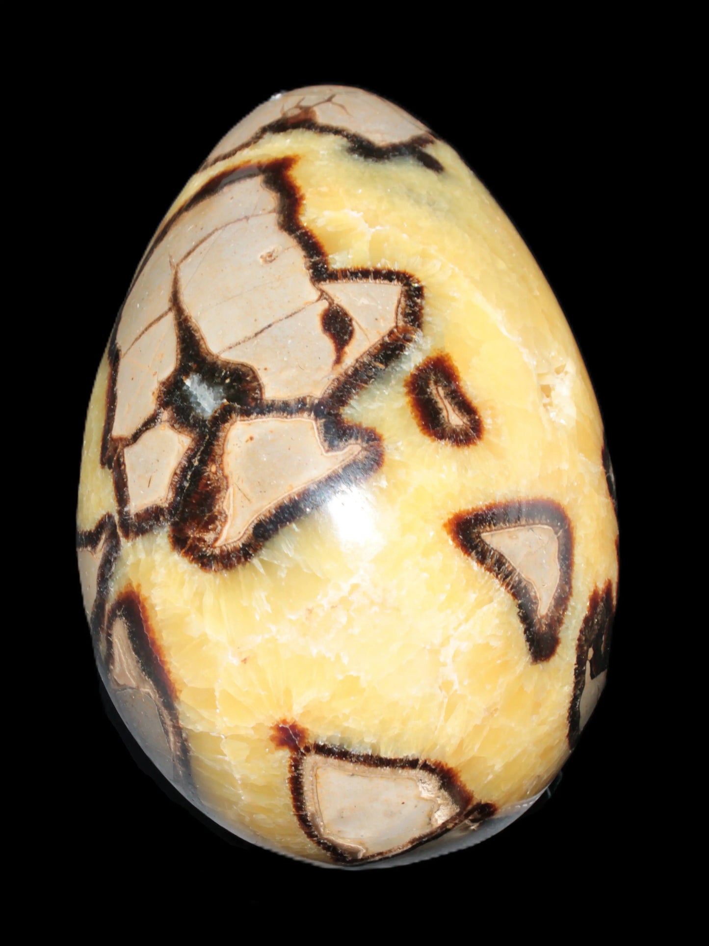 Septarian Dragon Stone geode 195*125*110mm 4080g Rocks and Things Store