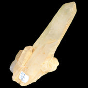 Smoky quartz cluster 1042g Rocks and Things