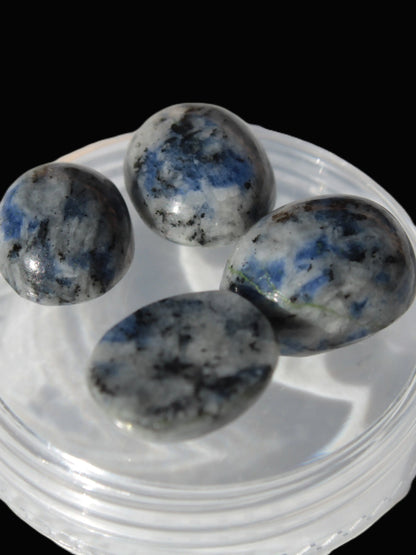 Sodalite 4 polished cabachons 6*12mm - 12*14mm (1-1.9g each) 5.7g Rocks and Things