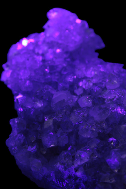 Sparkling Apophyllite cluster 1200g in UV light