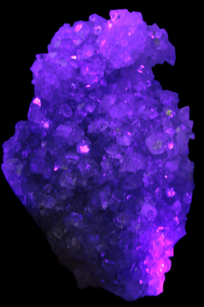 Sparkling Apophyllite cluster 1200g in UV light