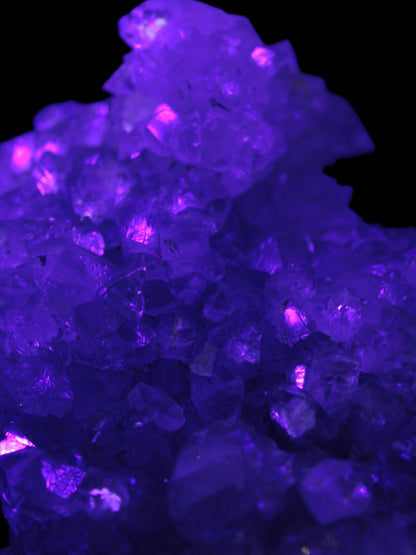 Sparkling Apophyllite cluster 1200g in UV light