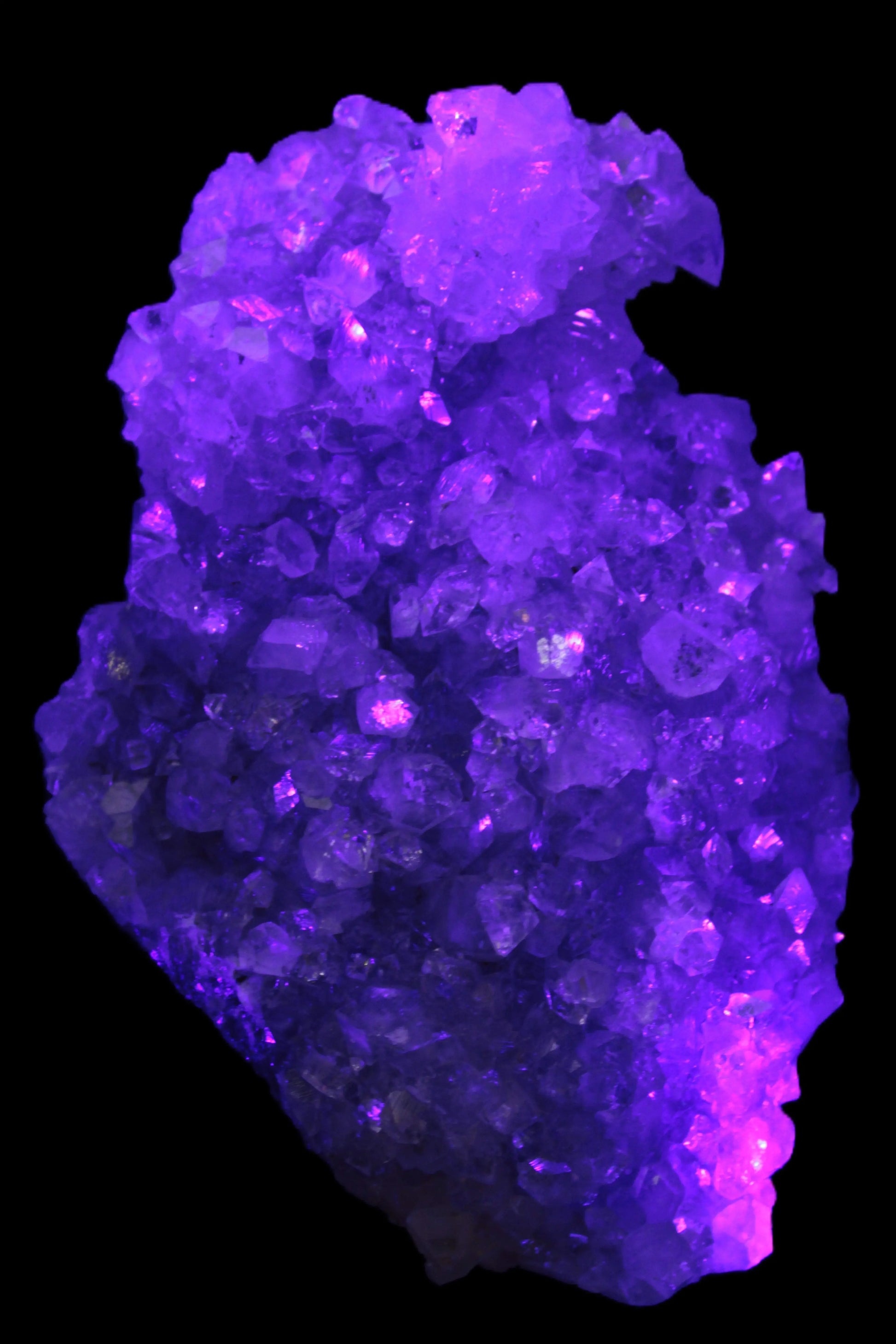 Sparkling Apophyllite cluster 1200g in UV light