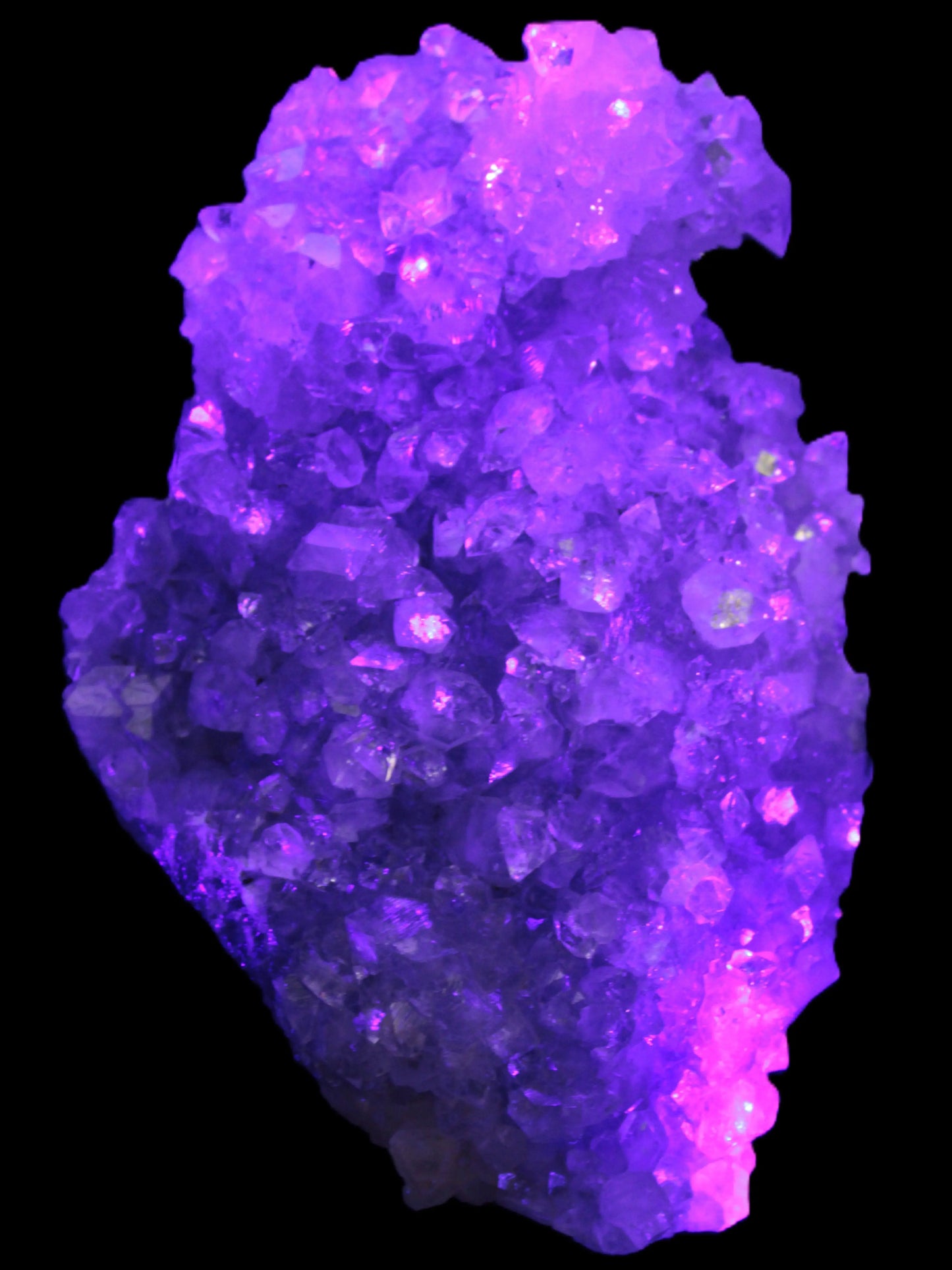 Sparkling Apophyllite cluster 1200g in UV light