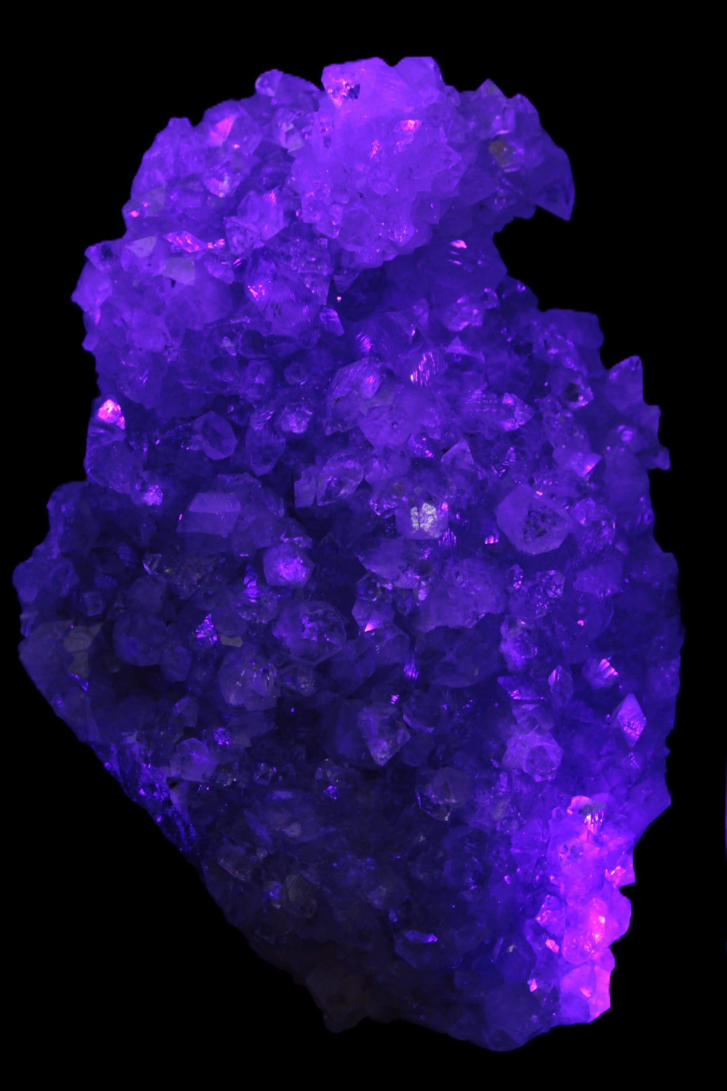 Sparkling Apophyllite cluster 1200g in UV light