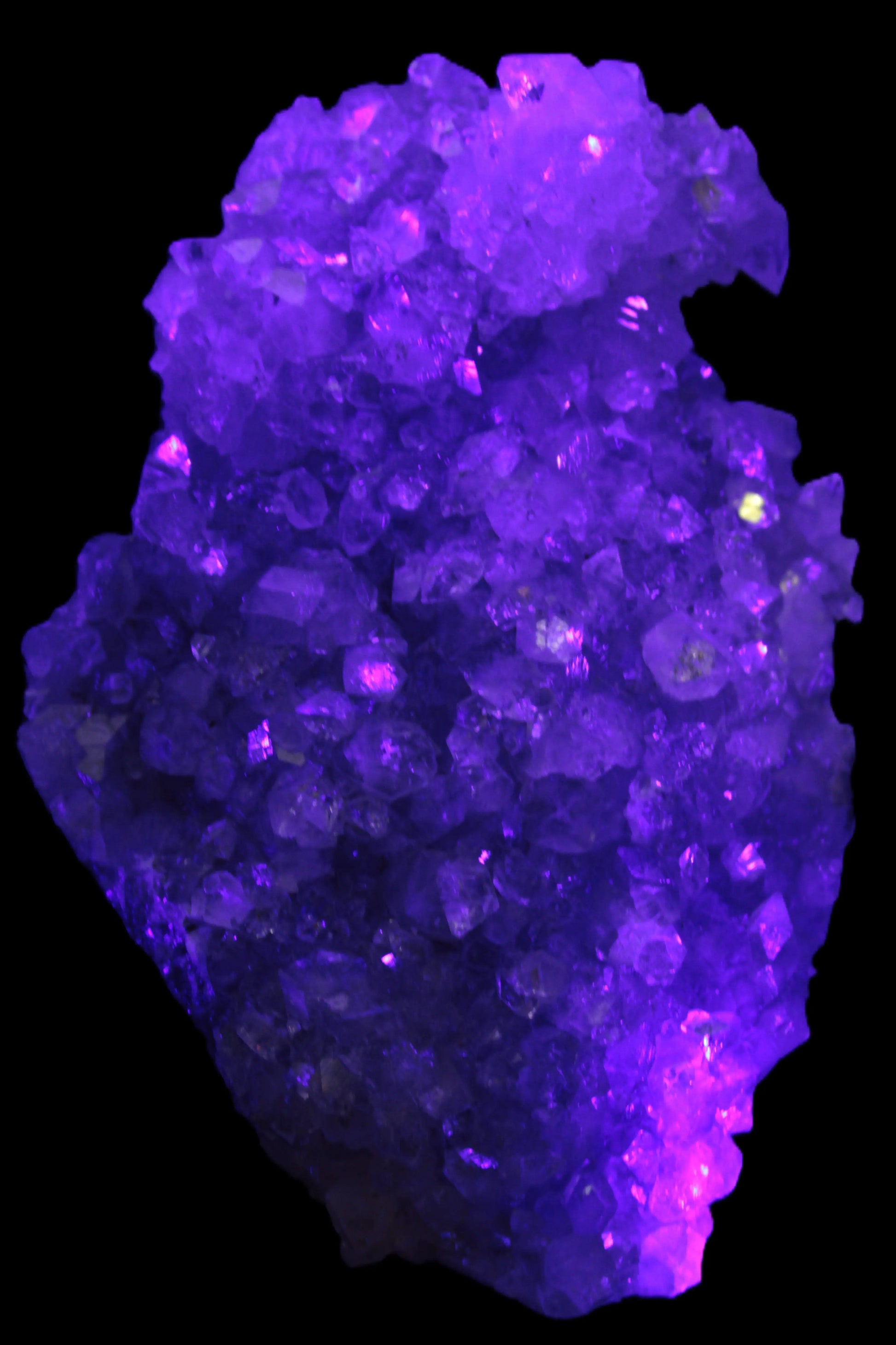 Sparkling Apophyllite cluster 1200g Rocks and Things