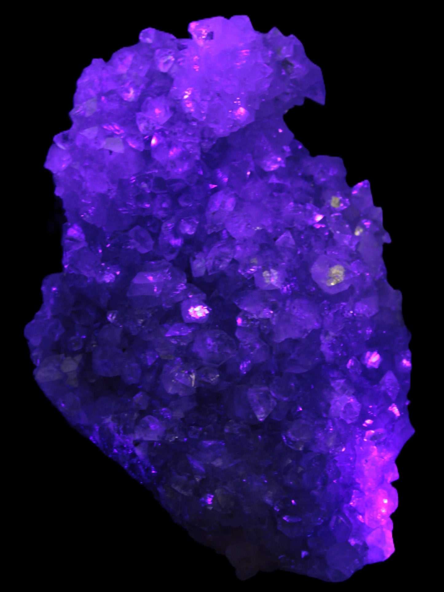 Sparkling Apophyllite cluster 1200g in UV light