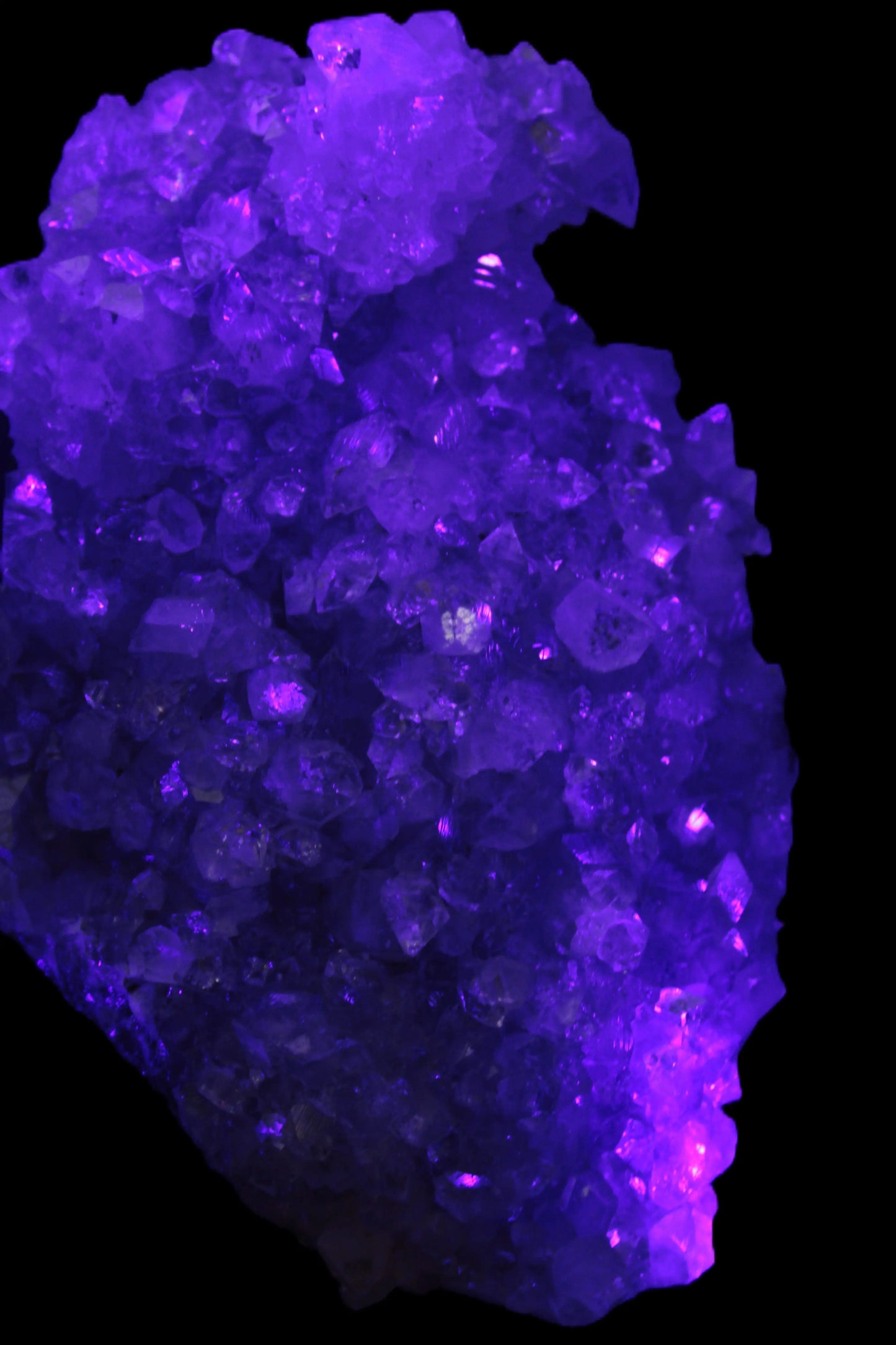 Sparkling Apophyllite cluster 1200g in UV light