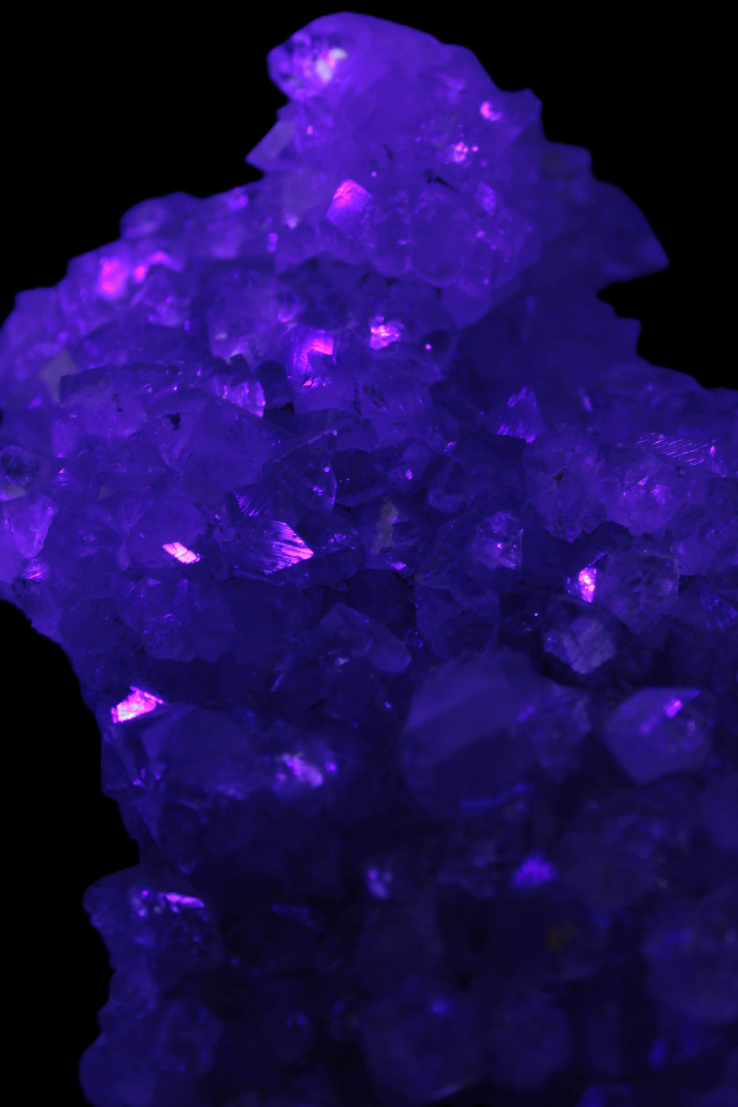 Sparkling Apophyllite cluster 1200g in UV light