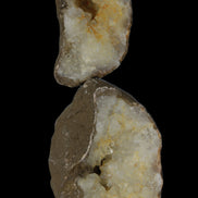 Thunder egg from Queensland 339g Rocks and Things