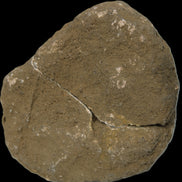 Thunder egg from Queensland 339g Rocks and Things