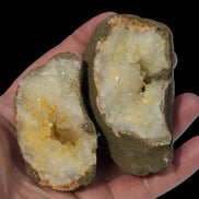 Thunder egg from Queensland 339g Rocks and Things