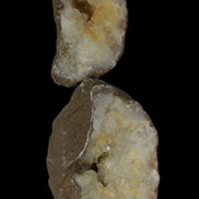 Thunder egg from Queensland 339g Rocks and Things