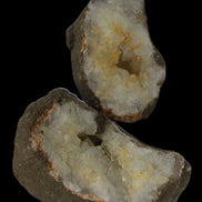 Thunder egg from Queensland 339g Rocks and Things