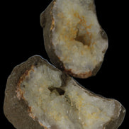 Thunder egg from Queensland 339g Rocks and Things