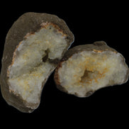 Thunder egg from Queensland 339g Rocks and Things