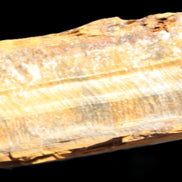 Tigers Eye natural 99g Rocks and Things