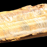 Tigers Eye natural 99g Rocks and Things