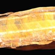 Tigers Eye natural 99g Rocks and Things