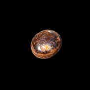 Tigers Eye polished stone 7-15g Rocks and Things Store