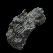 Rainbow Black Tourmaline cluster 81.4ct 16.3g in sunlight - Rocks and Things Store