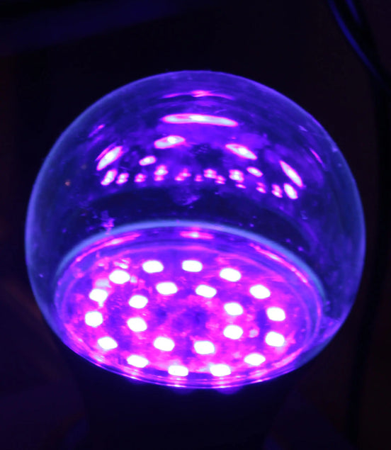 UV Light Bulb 12W E27 Base, UVA Level 385-400nm Rocks and Things Store