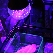 UV Light Bulb 12W E27 Base, UVA Level 385-400nm with switched E27 Cable Cord Holder Socket AC AU Power Plug, 1.8M Rocks and Things Store