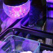 UV Light Bulb 12W E27 Base, UVA Level 385-400nm with switched E27 Cable Cord Holder Socket AC AU Power Plug, 1.8M Rocks and Things Store