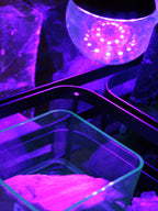 UV Light Bulb 12W E27 Base, UVA Level 385-400nm with switched E27 Cable Cord Holder Socket AC AU Power Plug, 1.8M Rocks and Things Store