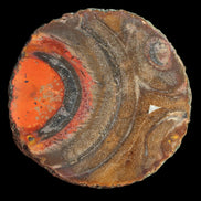 Warring States Carnelian red silk banded Agate 84g in sunlight - Rocks and Things Store