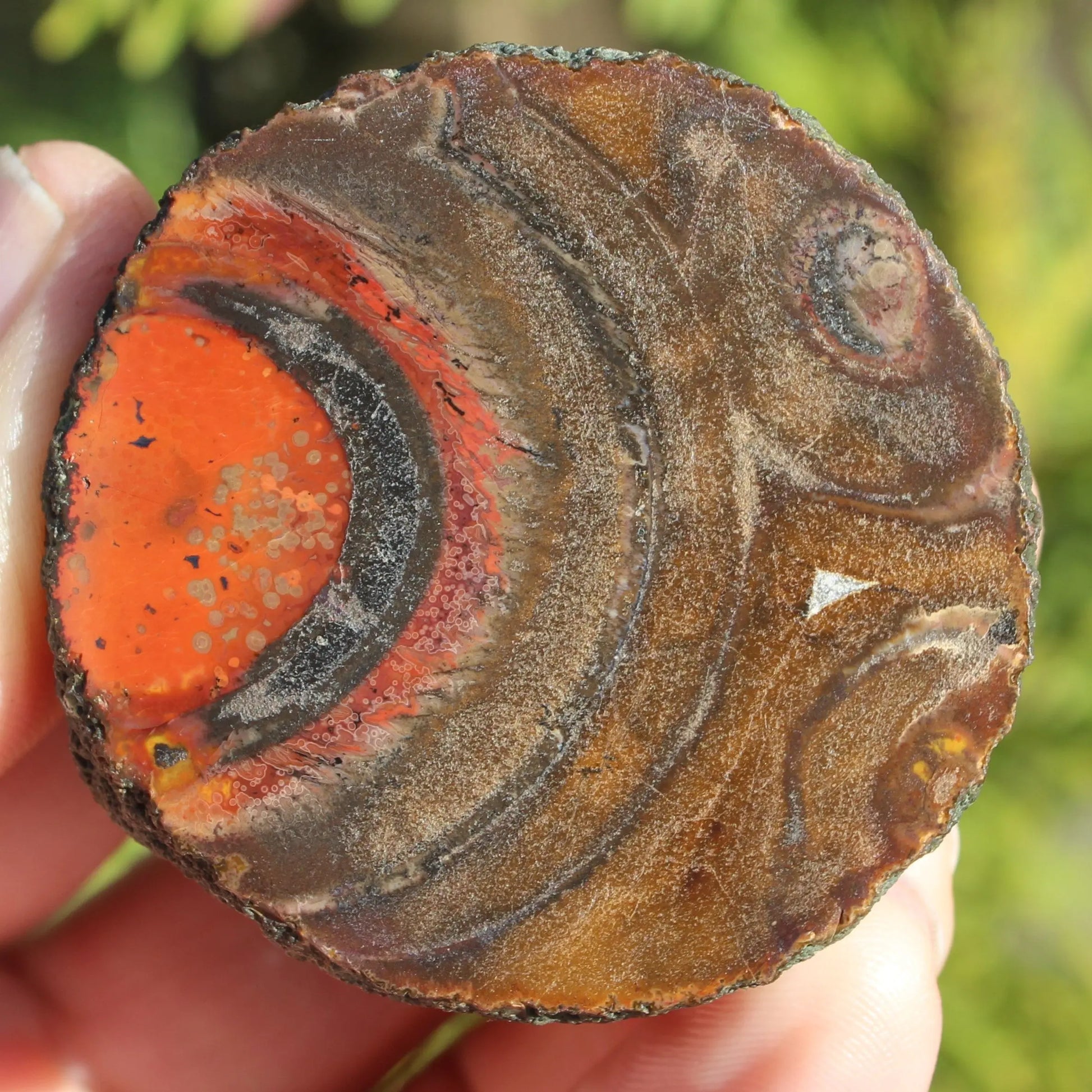 Warring States Carnelian red silk banded Agate 84g Rocks and Things