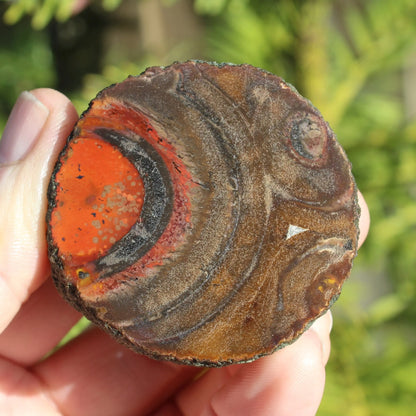 Warring States Carnelian red silk banded Agate 84g Rocks and Things