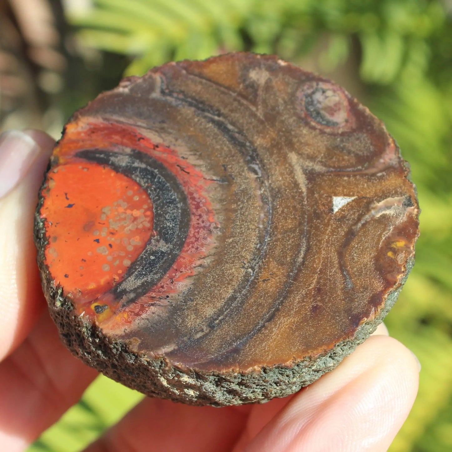 Warring States Carnelian red silk banded Agate 84g Rocks and Things