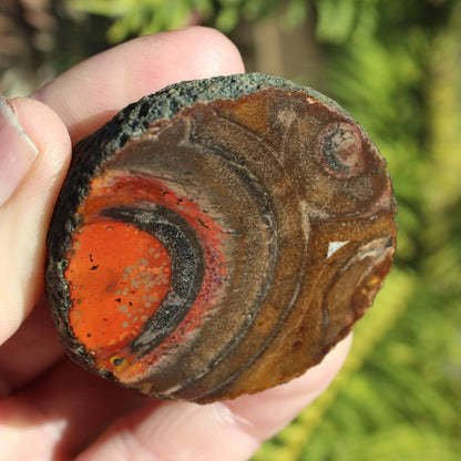 Warring States Carnelian red silk banded Agate 84g Rocks and Things