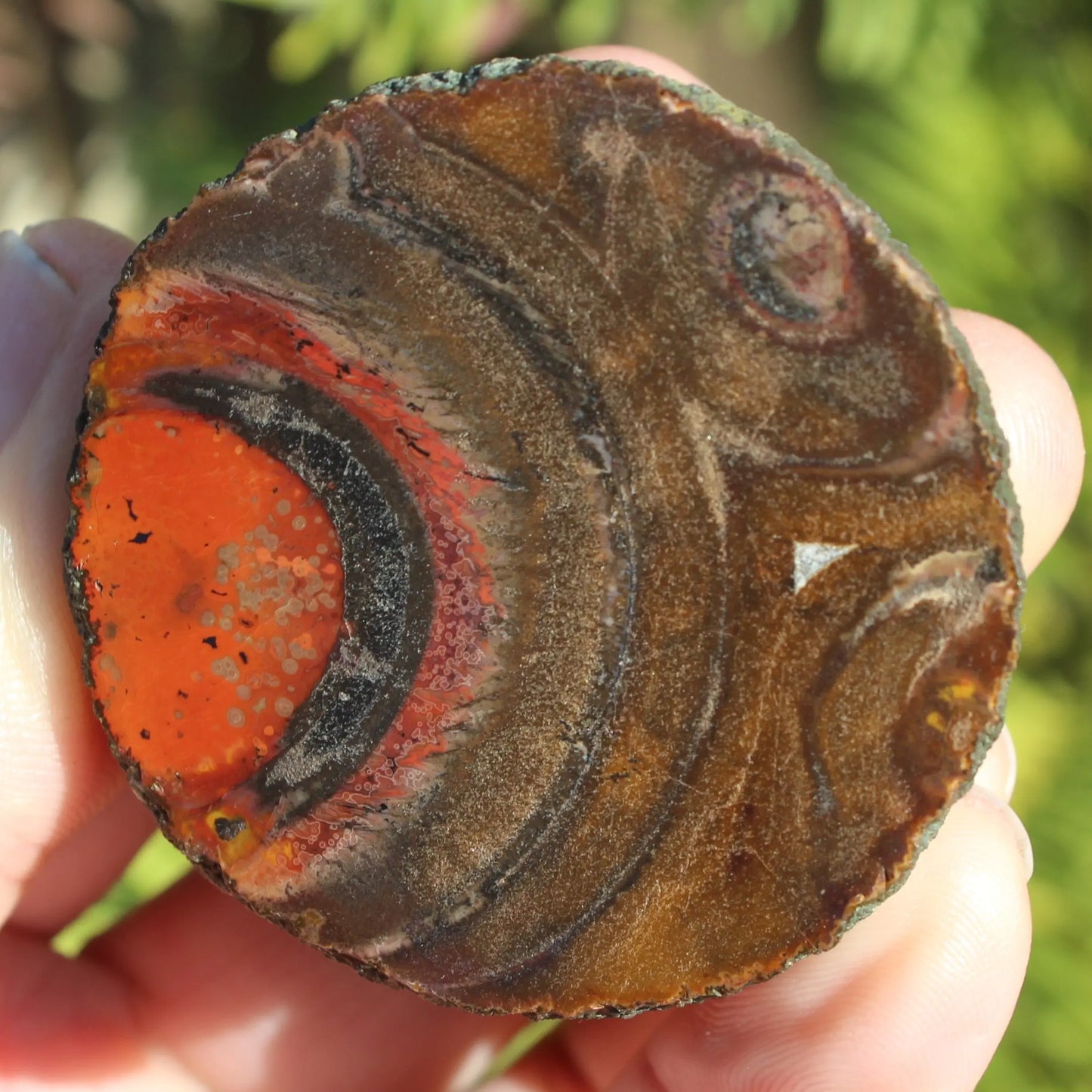 Warring States Carnelian red silk banded Agate 84g Rocks and Things