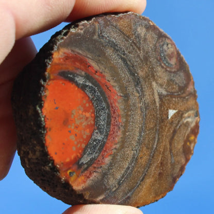 Warring States Carnelian red silk banded Agate 84g Rocks and Things