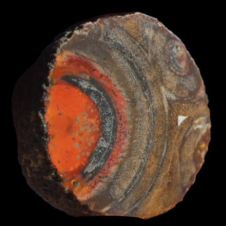 Warring States Carnelian red silk banded Agate 84g in sunlight - Rocks and Things Store