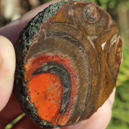 Warring States Carnelian red silk banded Agate 84g Rocks and Things